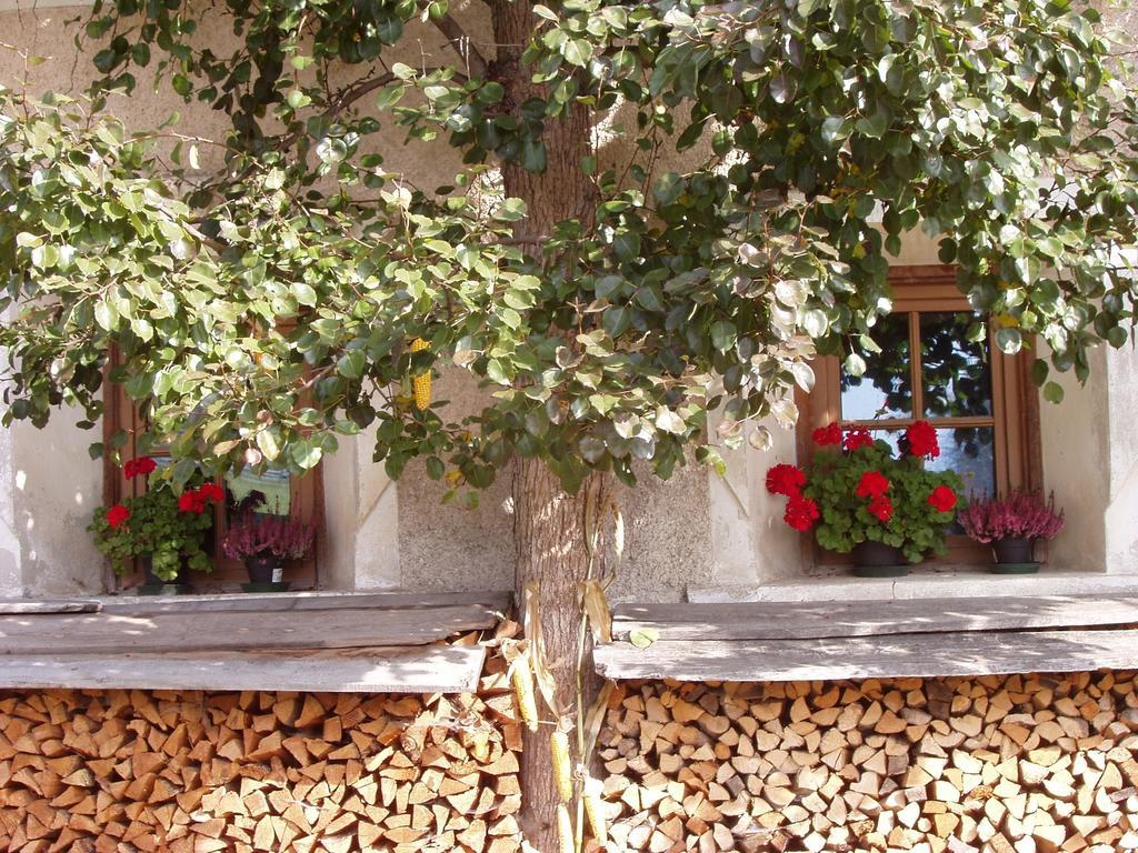 Mansarda Dolomiti Apartment Rasun di Sopra Exterior foto
